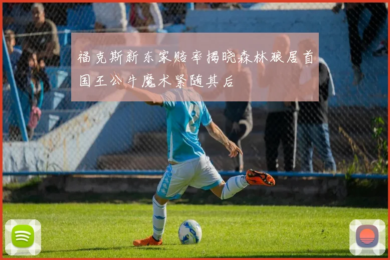 福克斯新东家赔率揭晓森林狼居首国王公牛魔术紧随其后
