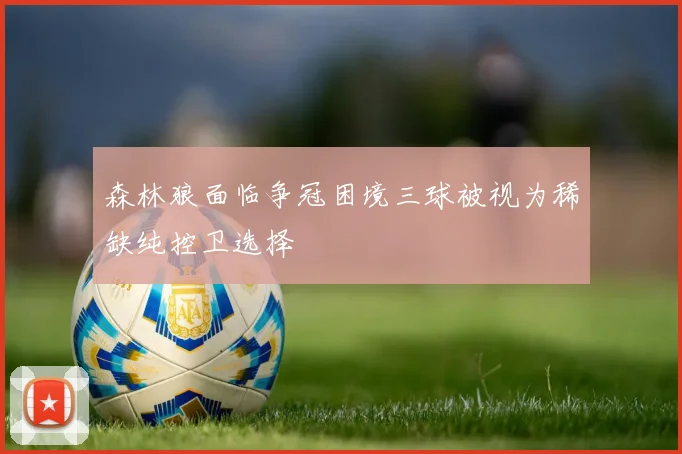 森林狼面临争冠困境三球被视为稀缺纯控卫选择
